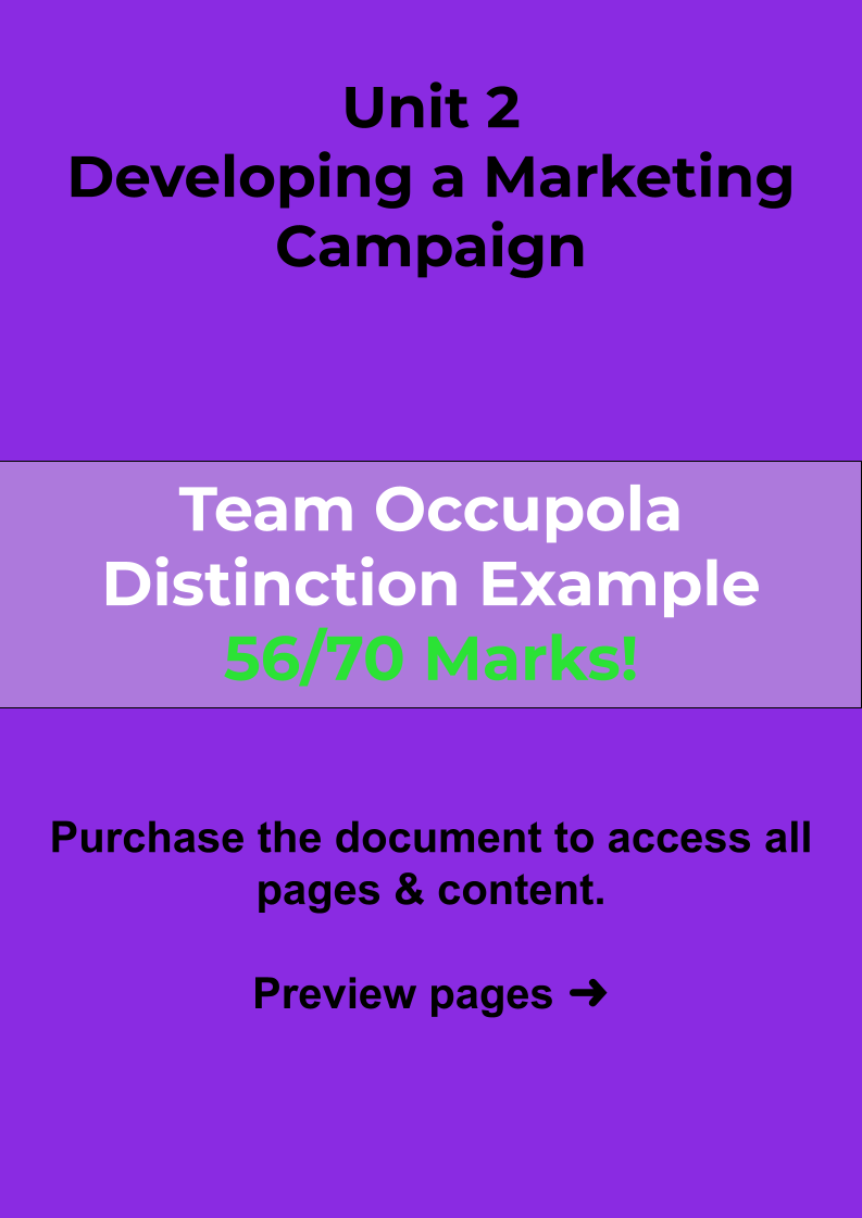 Unit 2 Developing a Marketing Campaign MEGA BUNDLE
