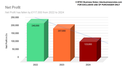 Charts Guide for Stone Stylists Ltd (In Google Slides)